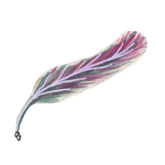 Vector watercolor multi-colored tender bird feather.