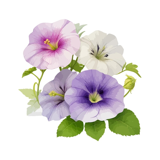 Vector watercolor multiflora petunias clipart editable white background