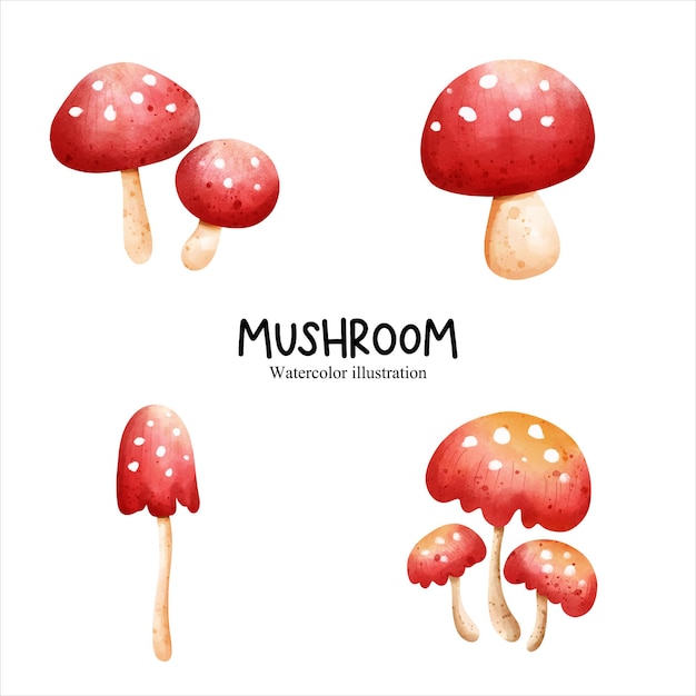 Watercolor mushroom vegetables vector illustration