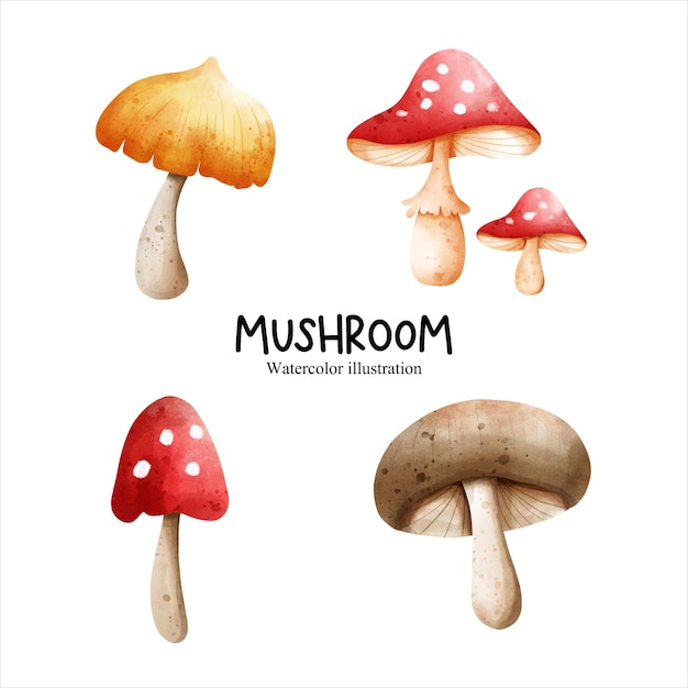watercolor mushroom vegetables vector illustration