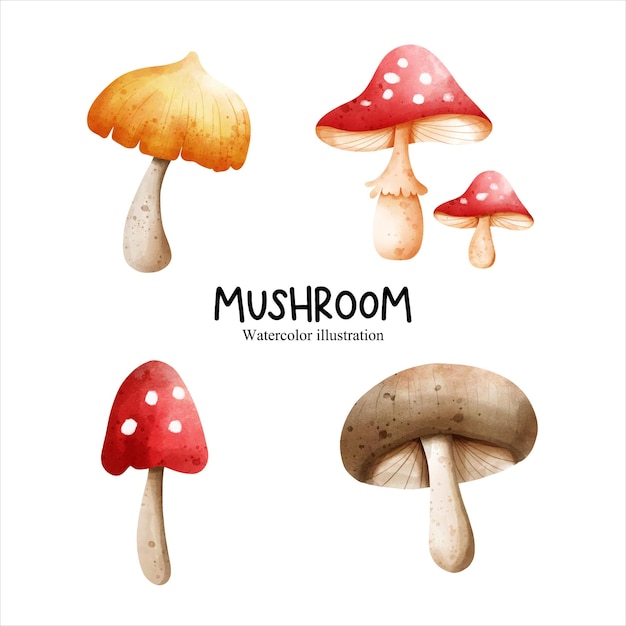 Watercolor mushroom vegetables vector illustration