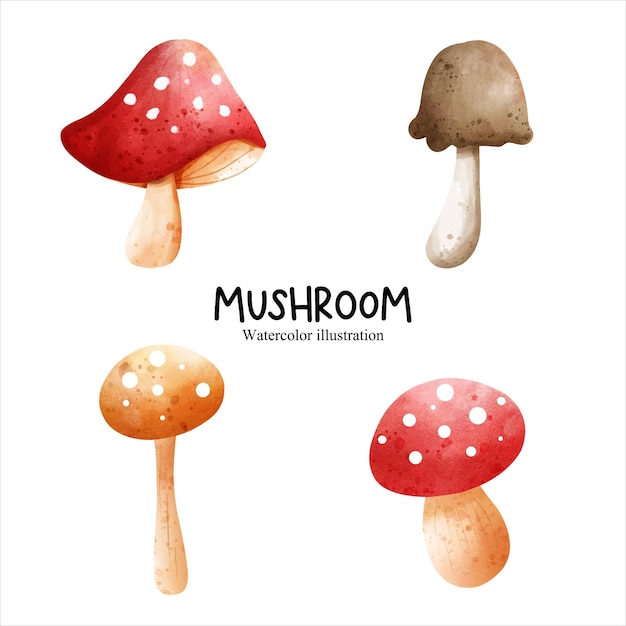 Watercolor mushroom vegetables vector illustration