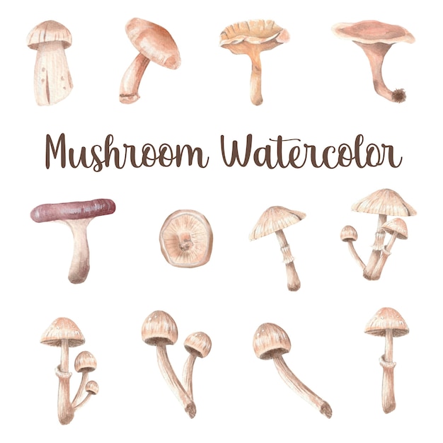 Watercolor mushrooms collection