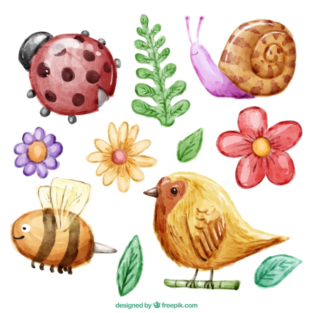 Vector watercolor nice insects and animals