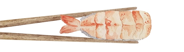 Watercolor nigiri sushi with shrimp between wooden chopsticks top view on white background.