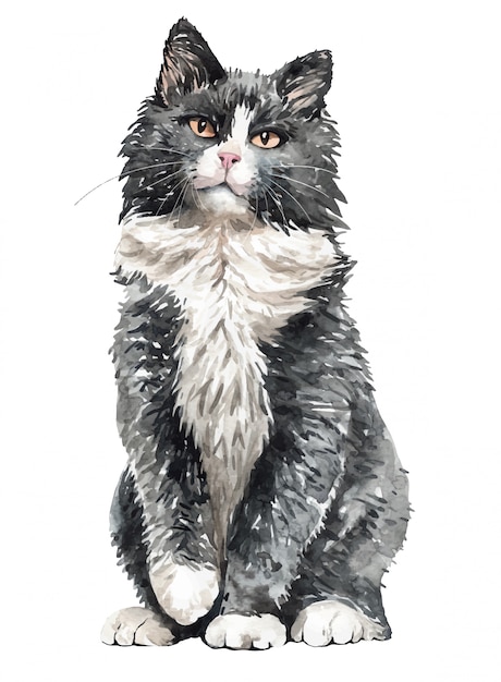 Watercolor Norwegian Forest cat sitting. Paint watercolor cat.