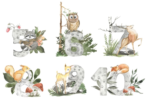 Vector watercolor numbers from 5 to 10 with wild animals and flowers