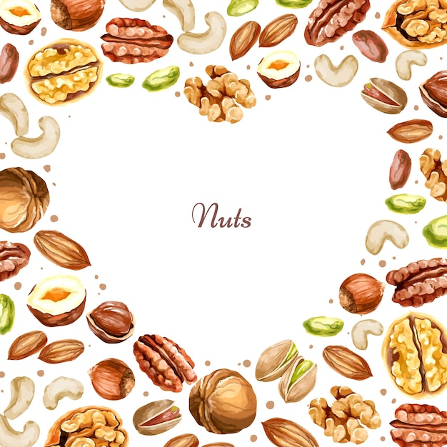 Watercolor nut collection. different types of nuts around the heart shape on white backgrount