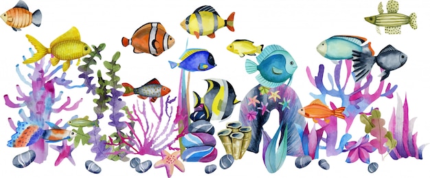 Watercolor oceanic tropical exotic fishes among the corals and sea stones illustration