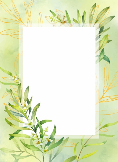 Vector watercolor olive frame in luxury design with a white background