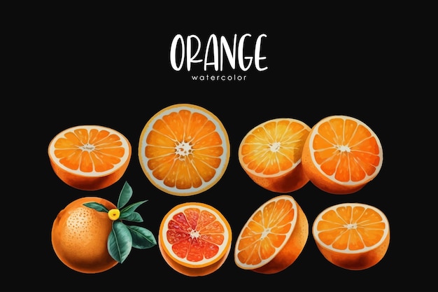 watercolor orange illustration set on isolated black background