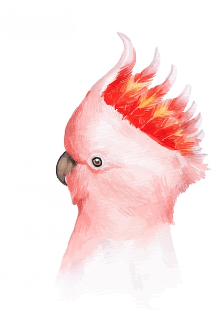 Vector watercolor painted beautiful pink bird