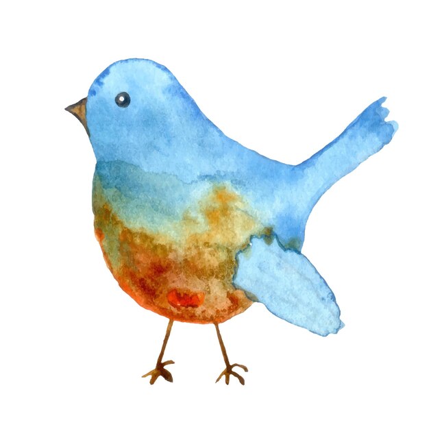 Vector watercolor painted blue winter bird