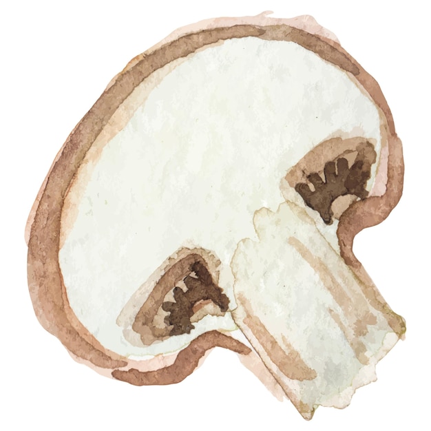 Акварель нарисованный шампиньон Ручно нарисованный элемент дизайна свежей пищи, изолированный на белом фоне