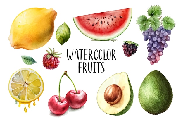 Vector watercolor painted collection of fruits hand drawn fresh food design elements isolated on white background