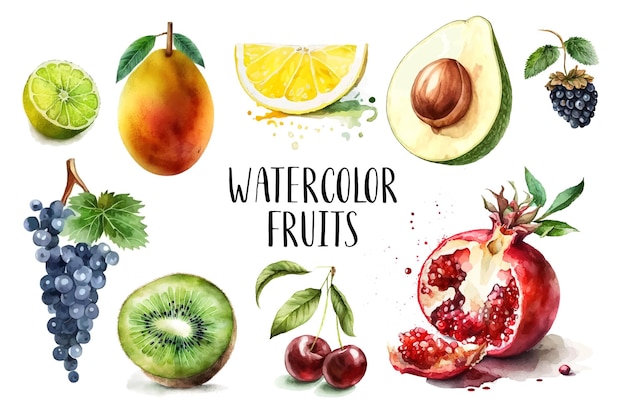 水彩画を描いた果物のコレクション 白い背景に分離された手描きの生鮮食品デザイン要素