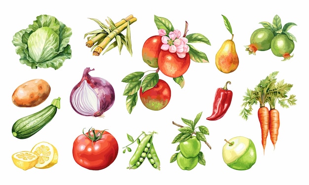 Vector watercolor painted collection of vegetables and fruits hand drawn fresh food design elements isolat