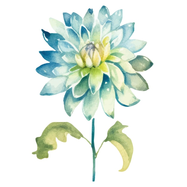 Watercolor painted dahlia flower Hand drawn design element isolated on white background