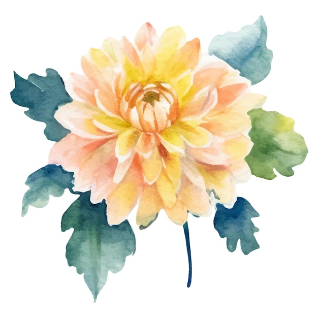 Watercolor painted dahlia flower Hand drawn design element isolated on white background