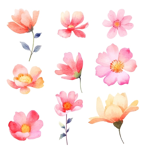 Watercolor painted flowers set