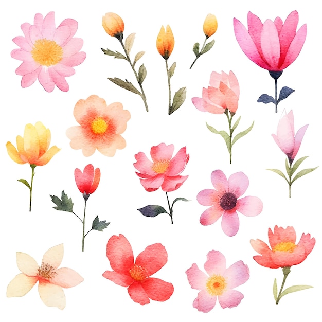 Watercolor painted flowers set