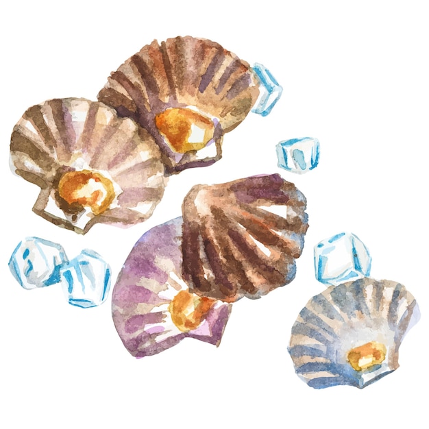 Ручной рисунок свежих морепродуктов, изолированный на белом фоне