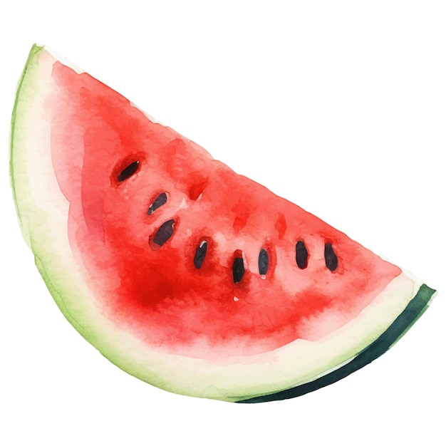 Watercolor painted watermelon Hand drawn fresh food design element isolated on white background