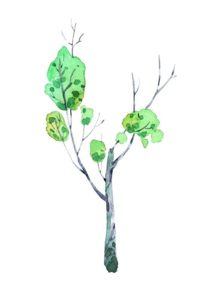 Vector a watercolor painting of a brown tree crown