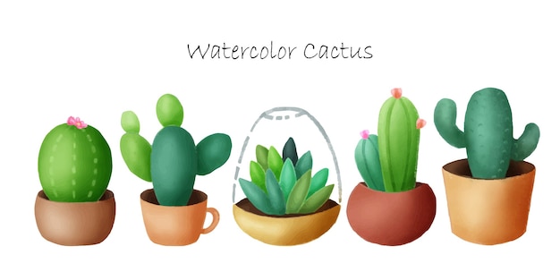 Watercolor painting of cactus set in a pot on a white background. Hand painted. Vector illustration.