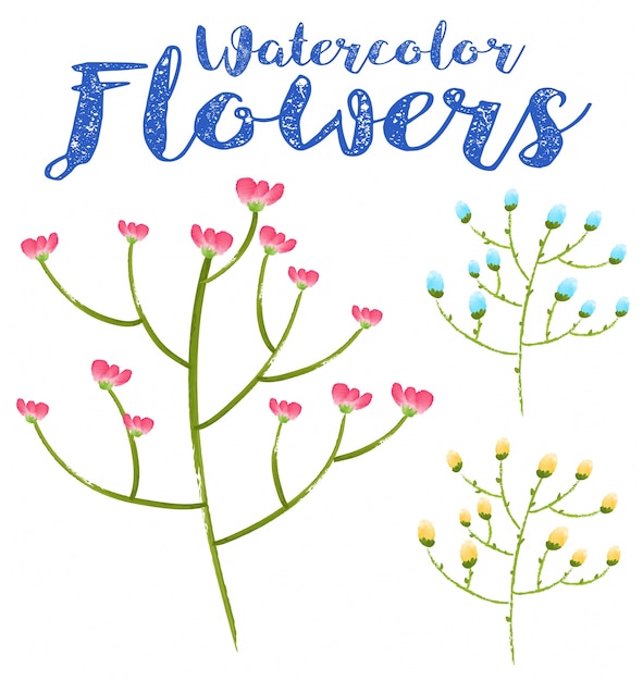 Vector watercolor painting of colorful flowers