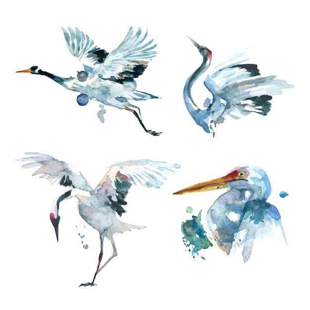 Vettore pittura ad acquerello della collezione di uccelli gru disposti separatamente 1