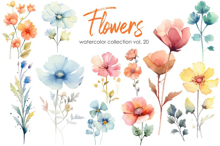 Vector 花と葉の水彩画 白い背景に分離された手描きの花のベクトル要素
