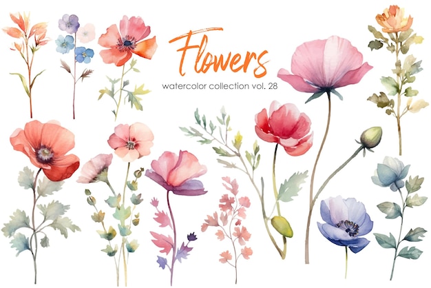 Vector watercolor painting of flowers and leaf hand drawn floral vector elements isolated on white background