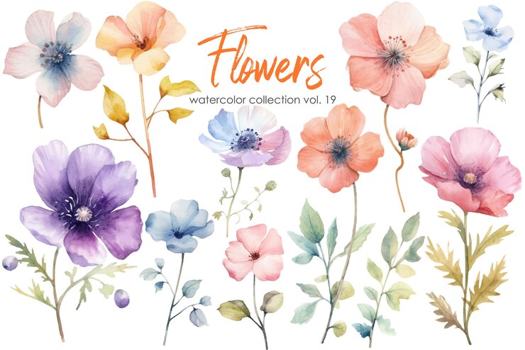 花と葉の水彩画 白い背景に分離された手描きの花のベクトル要素