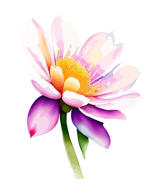 A watercolor painting of a lotus flower