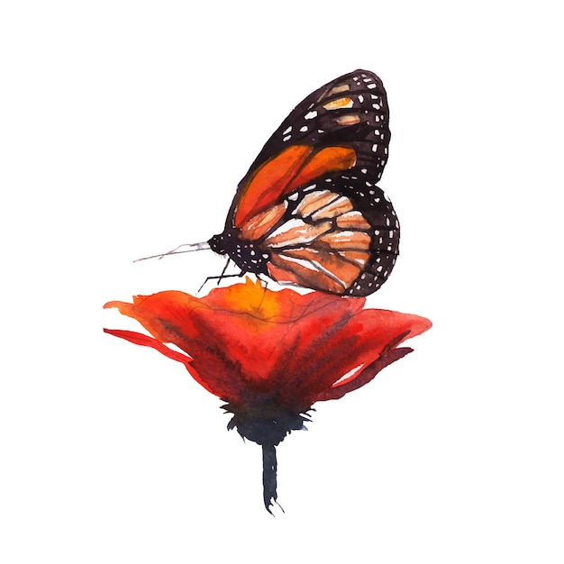 蝶の赤い花の水彩画
