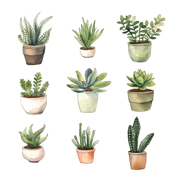 A watercolor painting of plants in pots
