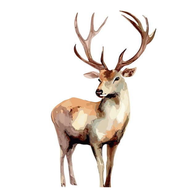 Watercolor painting of Portrait of majestic red deer