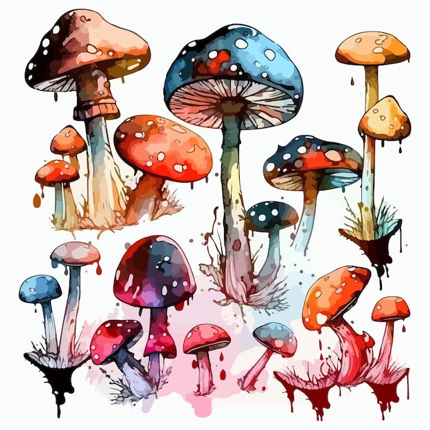 Watercolor painting of pretty mushroom pack