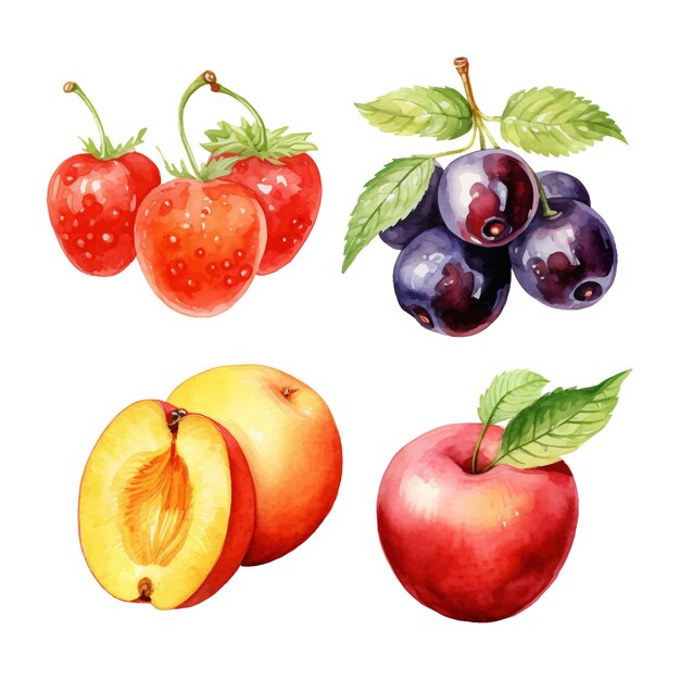 Pittura ad acquerello di frutta estiva collezione quattro