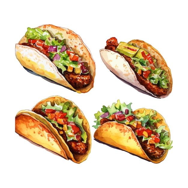 watercolor painting of taco four collection isolated