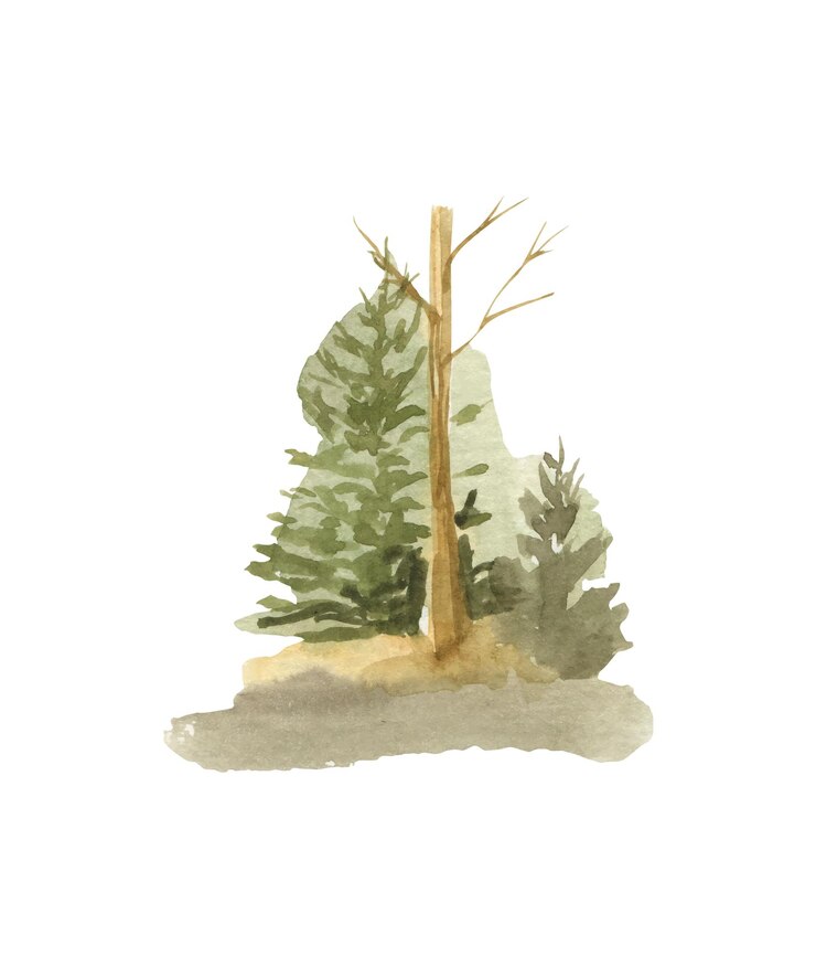 Vector a watercolor painting of a tree in the forest.