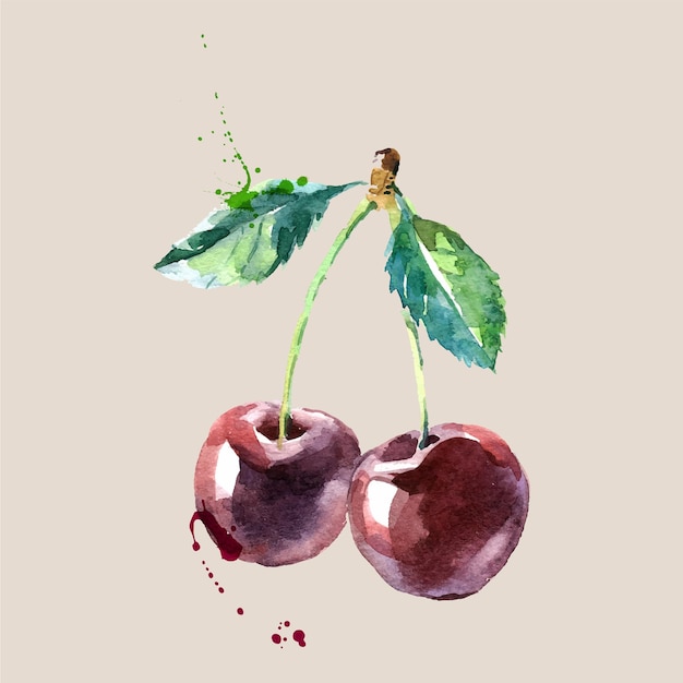 Vector a watercolor painting of two cherries with green leaves.