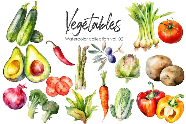 Watercolor painting of vegetables Hand drawn vector fresh food elements isolated on white background
