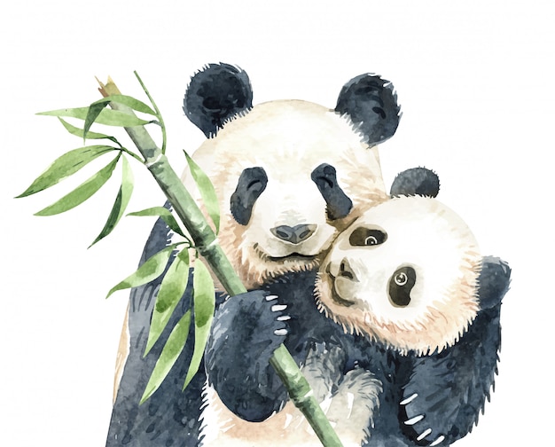 Watercolor Panda and baby panda with bamboo