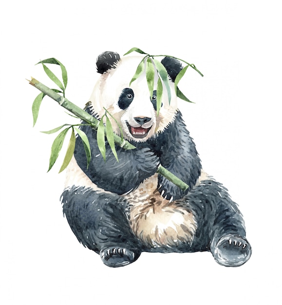 Vector watercolor panda eating bamboo