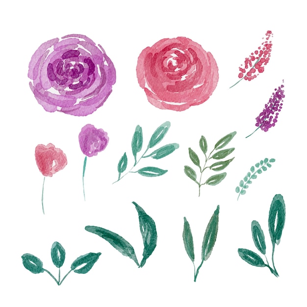 Watercolor Pastel Flower Elements