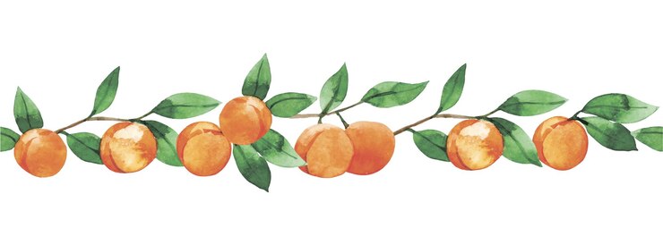 Vector watercolor pattern seamless fruit border of peaches apricots and leaves
