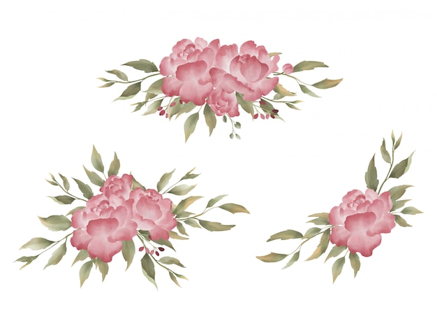 Vector watercolor peonies bouquet collection