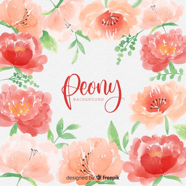 Watercolor peony flowers background